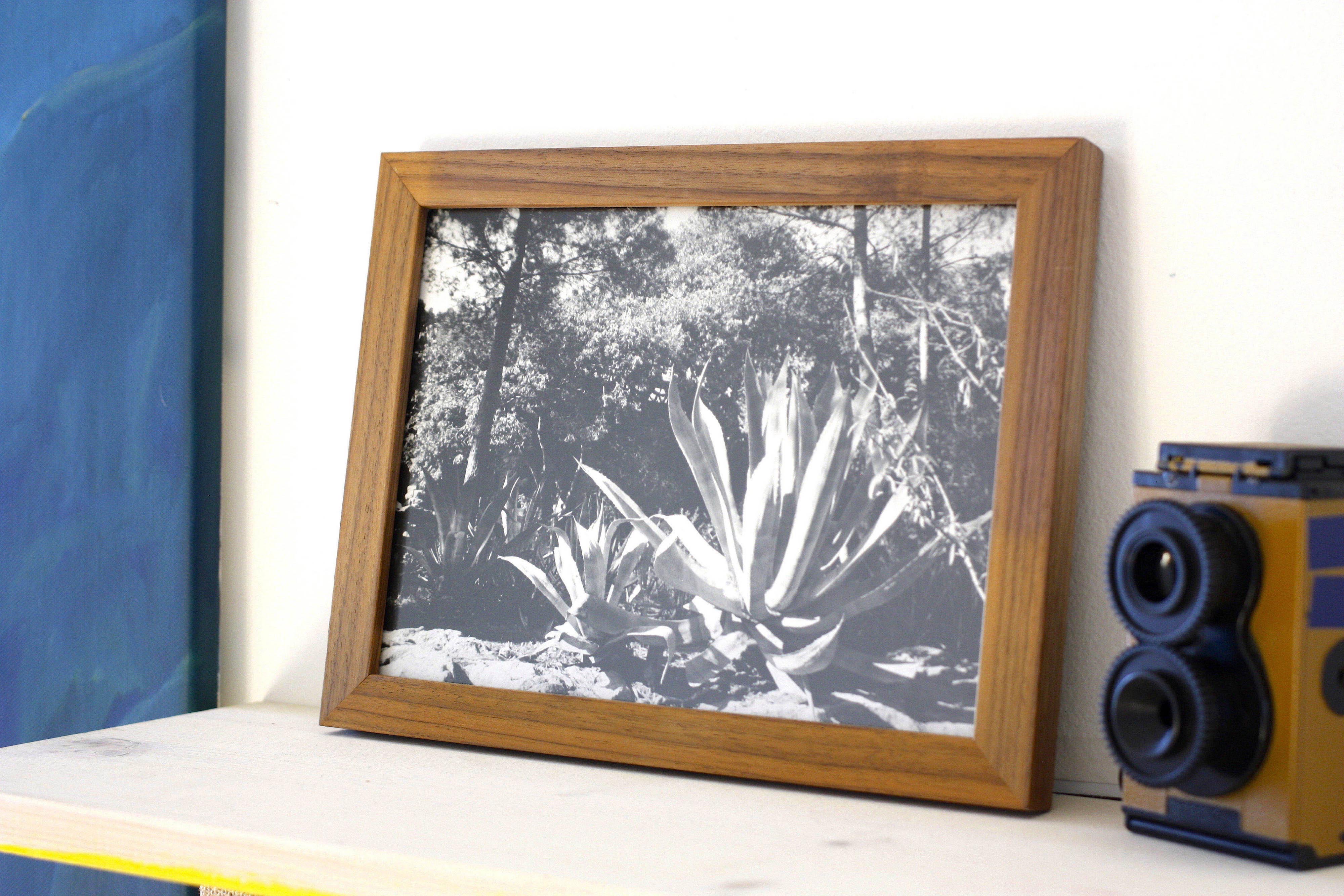 Fine Together | Posters-prints, Photographs | Rafael Guerrero Céspedes | Beauton Art Gallery posters-prints, photographs, aesthetic, figurative, landscape, still-life, botany, moods, nature, science, seasons, beige, black, grey, white, photographs, beautiful, black-and-white, contemporary-art, day, decorative, flowers, forest, horizontal, natural, naturalism, outdoors, scenery, spring, summer, tranquil, trees, wild, Buy original high quality art. Paintings, drawings, limited edition prints & posters by talented artists.