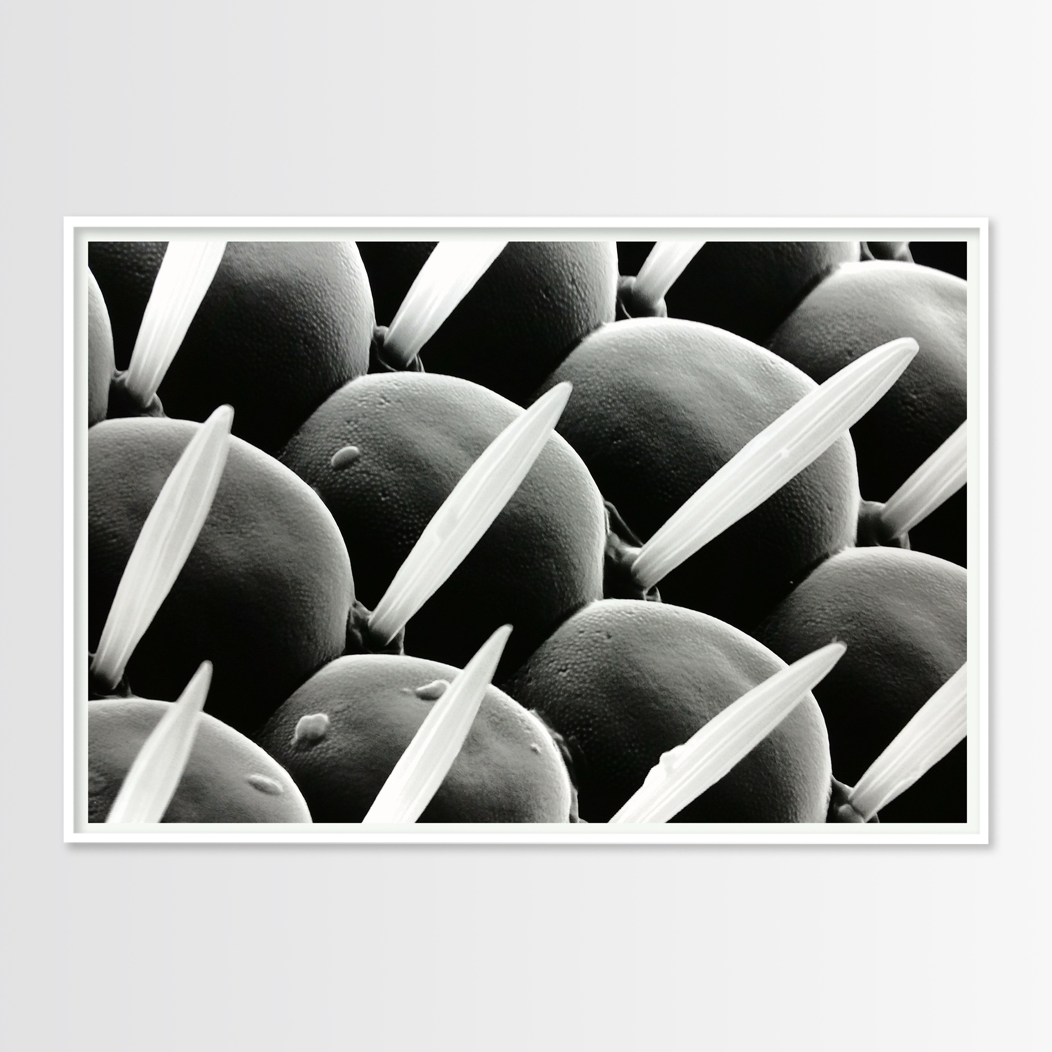 posters-prints, photographs, giclee-print, abstract, graphical, landscape, minimalistic, monochrome, animals, botany, patterns, people, technology, black, grey, white, ink, paper, abstract-forms, interior, interior-design, posters, Buy original high quality art. Paintings, drawings, limited edition prints & posters by talented artists.