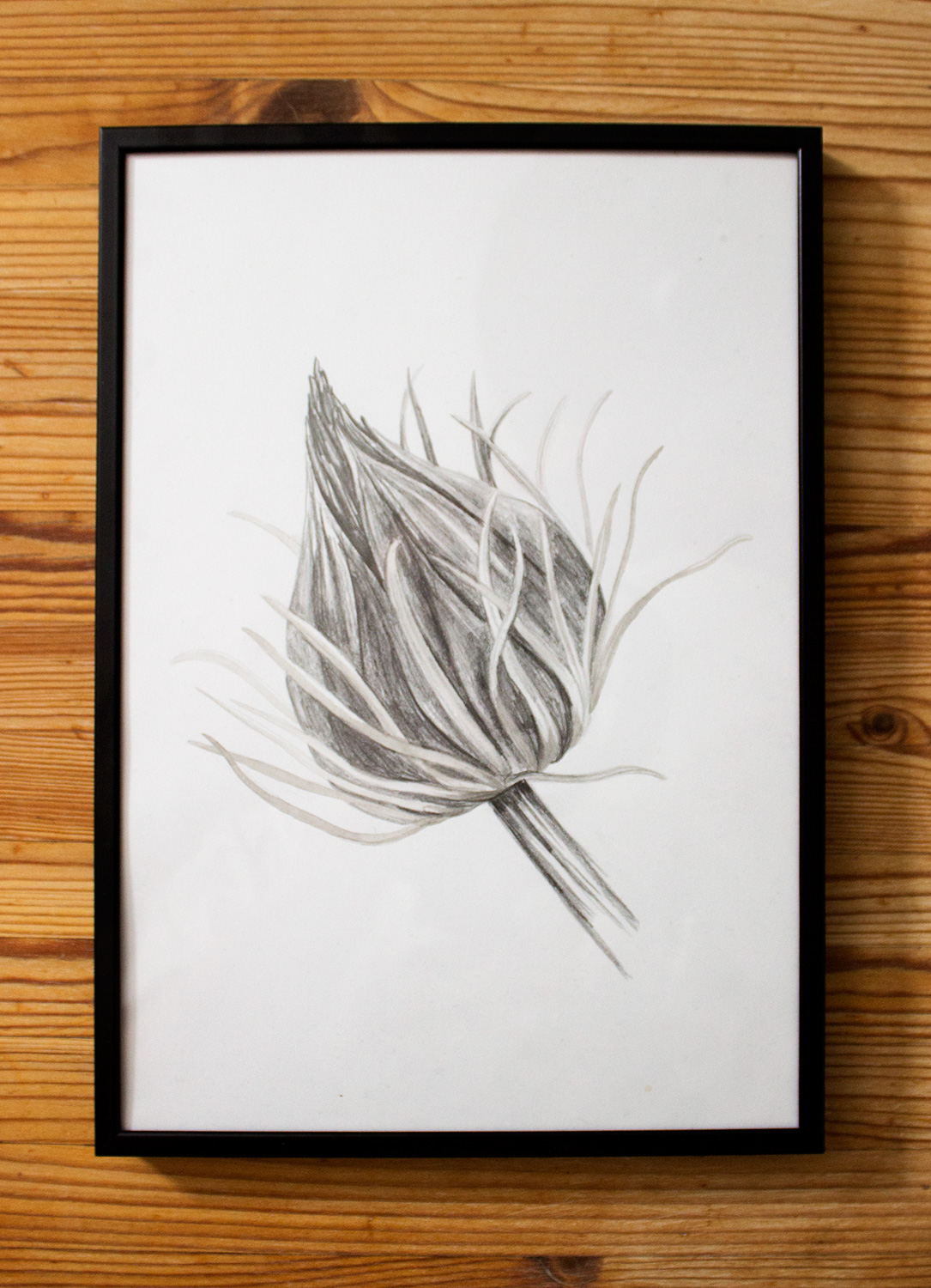 drawings, aesthetic, family-friendly, figurative, landscape, monochrome, botany, black, white, paper, pencils, beautiful, black-and-white, flowers, interior, interior-design, natural, naturalism, plants, pretty, Buy original high quality art. Paintings, drawings, limited edition prints & posters by talented artists.