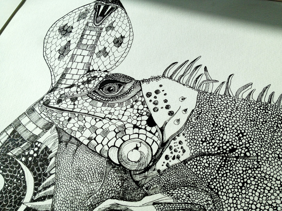 Iguana and Snake signs. An illustration by artist Marianne Stenberg. illustration. Expressive modern art. animals. talented artists, online art gallery.