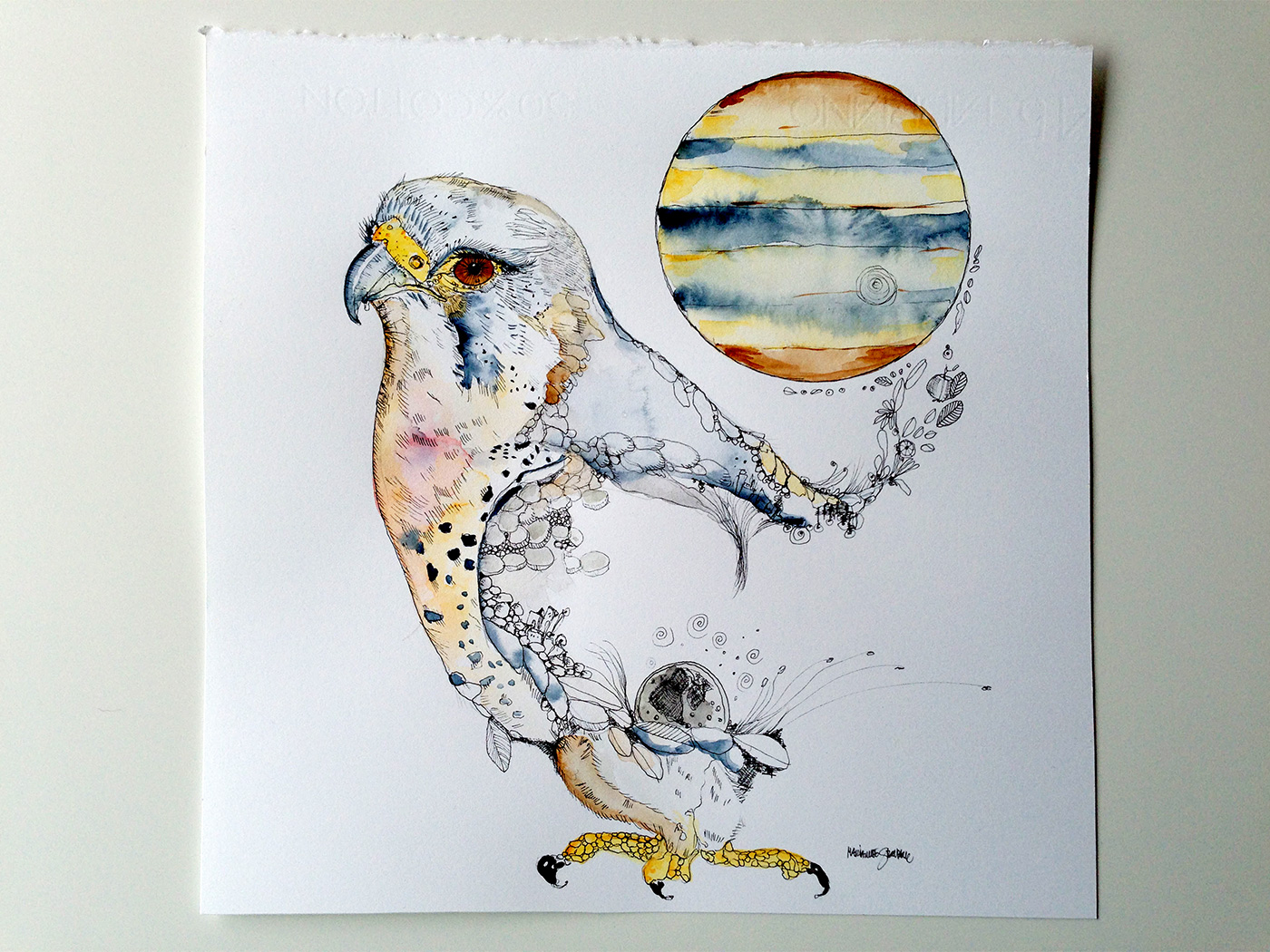 Kestrel and Jupiter - 44 x 45 cm. An original illustration by artist Marianne Stenberg. The illustrationen is framed strong and expressive art illustrations and drawings, talented Danish illustrator