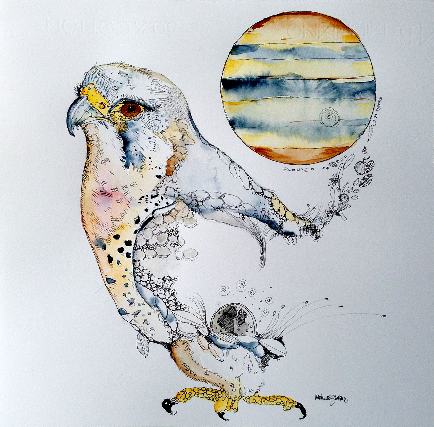 Kestrel and Jupiter - 44 x 45 cm. An original illustration by artist Marianne Stenberg. The illustrationen is framed strong and expressive art illustrations and drawings, talented Danish illustrator, cartoonist, faverige
