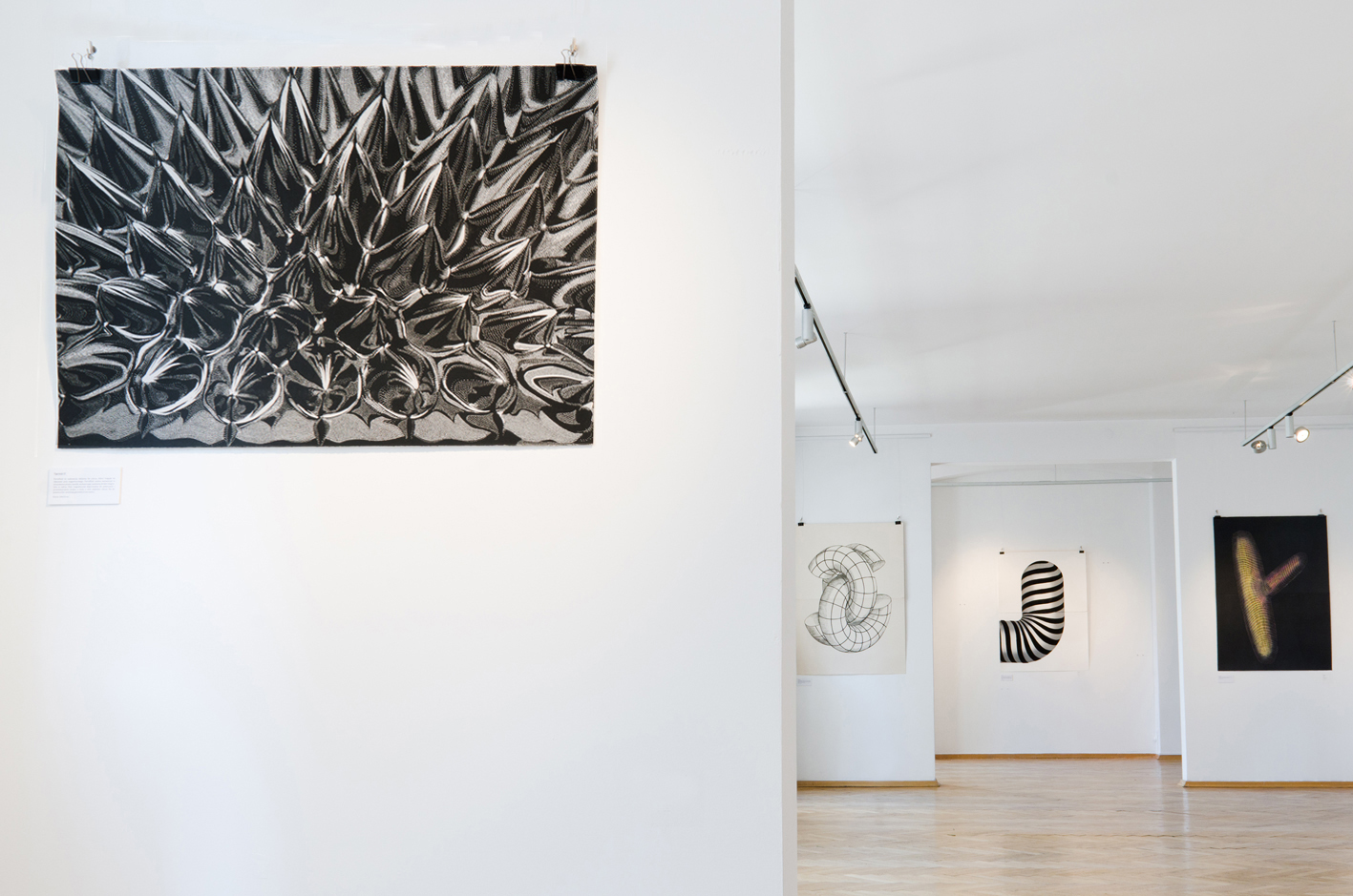 FERROFLUID linocut_Doctorate Degree exhibition