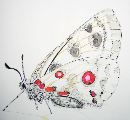 illustration. Expressive modern art. animals. talented artists, online art gallery. 