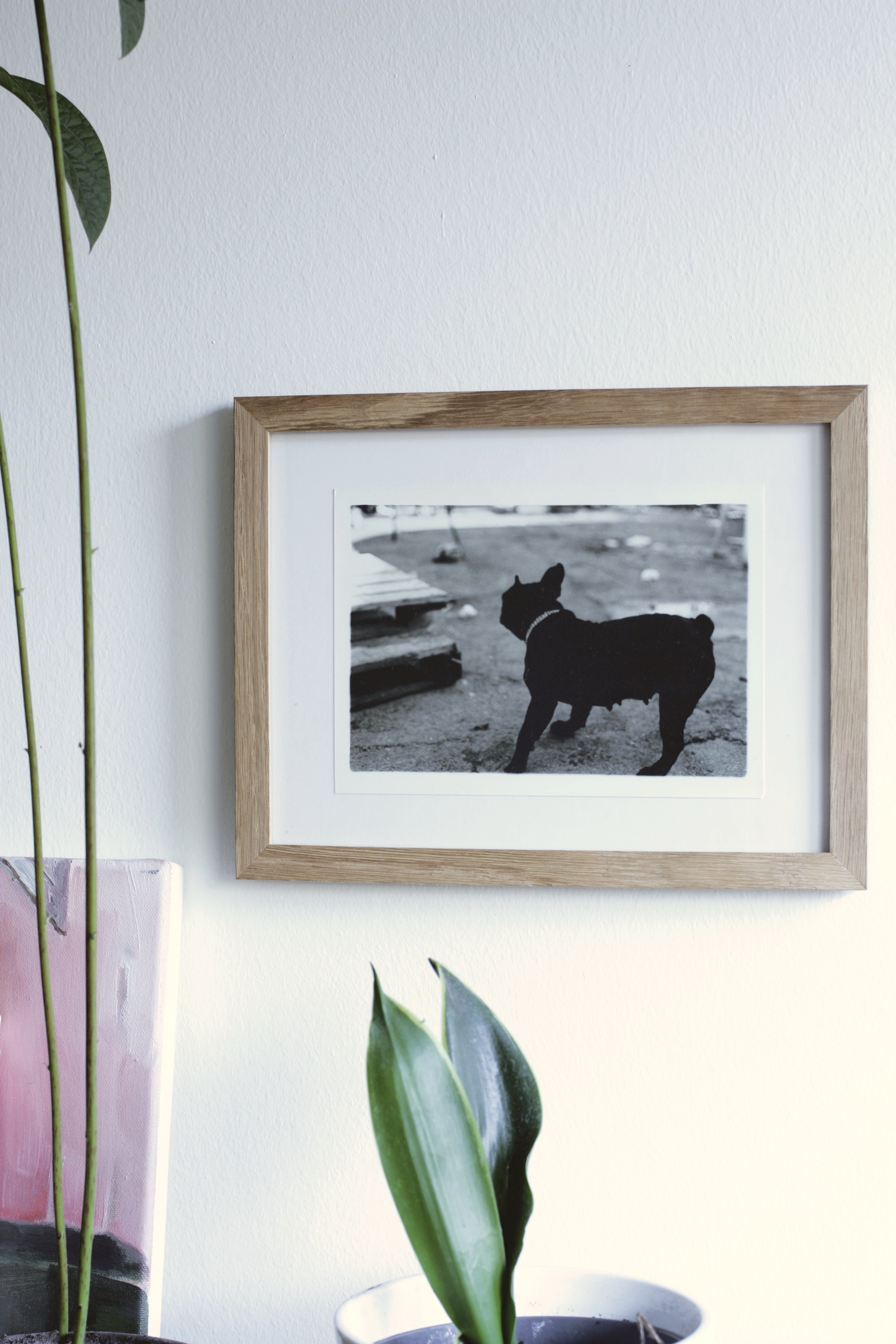 posters-prints, photographs, expressive, figurative, monochrome, portraiture, animals, everyday life, humor, movement, pets, beige, black, photographs, amusing, black-and-white, contemporary-art, cute, day, decorative, dogs, modern-art, nordic, outdoors, posters, pretty, scandinavien, silhouette, streets, urban, vibrant, Buy original high quality art. Paintings, drawings, limited edition prints & posters by talented artists.