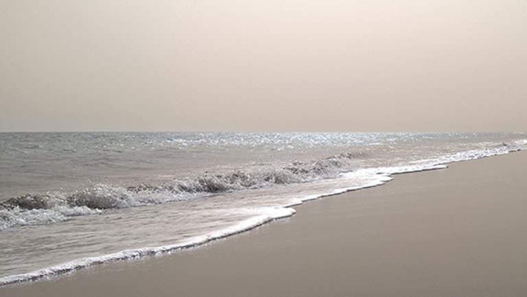 Multimedia interactive art installation by artist Anna Uscinska de Rojas, Beauton Art Gallery exhibition, interactive art installation, artist, gallery,