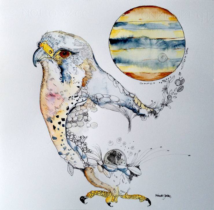 Kestrel and Jupiter - 44 x 45 cm. An original illustration by artist Marianne Stenberg. The illustrationen is framed strong and expressive art illustrations and drawings, talented Danish illustrator, cartoonist, faverige