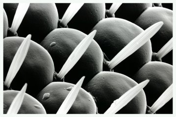 Science III | Posters-prints, Photographs, Giclee-print | AOAM | Beauton Art Gallery posters-prints, photographs, giclee-print, abstract, graphical, landscape, minimalistic, monochrome, animals, botany, patterns, people, technology, black, grey, white, ink, paper, abstract-forms, interior, interior-design, posters, Buy original high quality art. Paintings, drawings, limited edition prints & posters by talented artists.