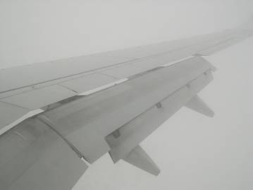 Low Cost Wing - 30 x 24 cm. Original photo in a limited edition of 12 by Rafael Guerrero, photographer and painter.  The photograph is analog and is produced by Rafael's hands and there will be very small variations for each copy.