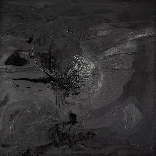 Night Blossom | Paintings | Agnieszka Zawisza | Beauton Art Gallery paintings, abstract, aesthetic, expressive, monochrome, botany, patterns, black, acrylic, oil, other-mediums, beautiful, black-and-white, contemporary-art, decorative, design, expressionism, interior, interior-design, modern, modern-art, square, Buy original high quality art. Paintings, drawings, limited edition prints & posters by talented artists.