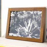 Fine Together | Posters-prints, Photographs | Rafael Guerrero Céspedes | Beauton Art Gallery posters-prints, photographs, aesthetic, figurative, landscape, still-life, botany, moods, nature, science, seasons, beige, black, grey, white, photographs, beautiful, black-and-white, contemporary-art, day, decorative, flowers, forest, horizontal, natural, naturalism, outdoors, scenery, spring, summer, tranquil, trees, wild, Buy original high quality art. Paintings, drawings, limited edition prints & posters by talented artists.