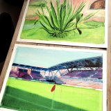 posters-prints, giclee-print, aesthetic, colorful, figurative, illustrative, still-life, botany, nature, green, pink, red, ink, paper, danish, design, flowers, interior, interior-design, modern, modern-art, nordic, plants, posters, prints, scandinavien, Buy original high quality art. Paintings, drawings, limited edition prints & posters by talented artists.