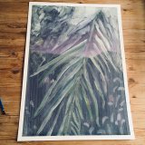 posters-prints, giclee-print, colorful, figurative, graphical, illustrative, botany, nature, blue, green, purple, turquoise, ink, contemporary-art, danish, decorative, design, flowers, forest, interior, interior-design, modern, modern-art, nordic, plants, scandinavien, Buy original high quality art. Paintings, drawings, limited edition prints & posters by talented artists.