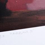Airplane 2 The supper -  limited edition fine art print by marck fink paper plane sun red black fire