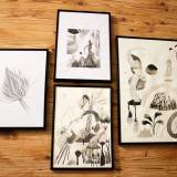 drawings, aesthetic, family-friendly, figurative, landscape, monochrome, botany, black, white, paper, pencils, beautiful, black-and-white, flowers, interior, interior-design, natural, naturalism, plants, pretty, Buy original high quality art. Paintings, drawings, limited edition prints & posters by talented artists.