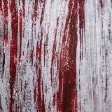 art gallery. limited print. online art. artist. original art print and paintings by artist Zuzanna Sitarska