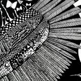 illustrations. Eagle, Indian, birds, Expressive modern art. animals. talented artists, online art gallery.
