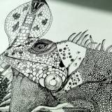 Iguana and Snake signs. An illustration by artist Marianne Stenberg. illustration. Expressive modern art. animals. talented artists, online art gallery.