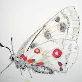 illustration. Expressive modern art. animals. talented artists, online art gallery. 