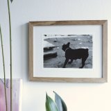 posters-prints, photographs, expressive, figurative, monochrome, portraiture, animals, everyday life, humor, movement, pets, beige, black, photographs, amusing, black-and-white, contemporary-art, cute, day, decorative, dogs, modern-art, nordic, outdoors, posters, pretty, scandinavien, silhouette, streets, urban, vibrant, Buy original high quality art. Paintings, drawings, limited edition prints & posters by talented artists.
