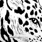 art-prints, linocuts, animal, figurative, graphical, monochrome, pop, portraiture, bodies, cartoons, wildlife, black, white, acrylic, black-and-white, contemporary-art, danish, decorative, design, interior, interior-design, modern, modern-art, nordic, posters, scandinavien, wild-animals, Buy original high quality art. Paintings, drawings, limited edition prints & posters by talented artists.
