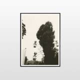 Moving Ballons (Art print) | Art-prints, Photographs, Gliceé | Rafael Guerrero | Beauton Art Gallery art-prints, photographs, gliceé, aesthetic, illustrative, landscape, minimalistic, monochrome, movement, beige, black, grey, ink, paper, autumn, beautiful, contemporary-art, danish, decorative, design, interior, interior-design, modern, modern-art, nordic, outdoors, scandinavien, vintage, Buy original high quality art. Paintings, drawings, limited edition prints & posters by talented artists.