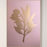 posters-prints, linocuts, aesthetic, figurative, graphical, pop, still-life, botany, nature, pastel, pink, acrylic, ink, paper, beautiful, danish, decorative, design, interior, interior-design, modern, modern-art, nordic, plants, scandinavien, Buy original high quality art. Paintings, drawings, limited edition prints & posters by talented artists.
