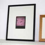 Seagulls (Series 2/2) - 9 x 11 cm.  Original photo in a limited edition of 12 by Rafael Guerrero, photographer and painter.    The photograph is analog and is produced by Rafael's hands and there will be very small variations for each copy.