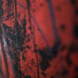 art gallery. limited print. online art. artist. original art print and paintings by artist Zuzanna Sitarska