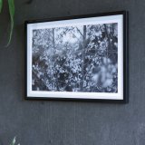 posters-prints, photographs, aesthetic, landscape, monochrome, still-life, botany, moods, nature, seasons, black, grey, white, photographs, atmosphere, beautiful, black-and-white, contemporary-art, decorative, farm, flowers, forest, horizontal, love, natural, naturalism, nordic, outdoors, photorealistic, realism, romantic, spring, tranquil, trees, weird, wild, Buy original high quality art. Paintings, drawings, limited edition prints & posters by talented artists.