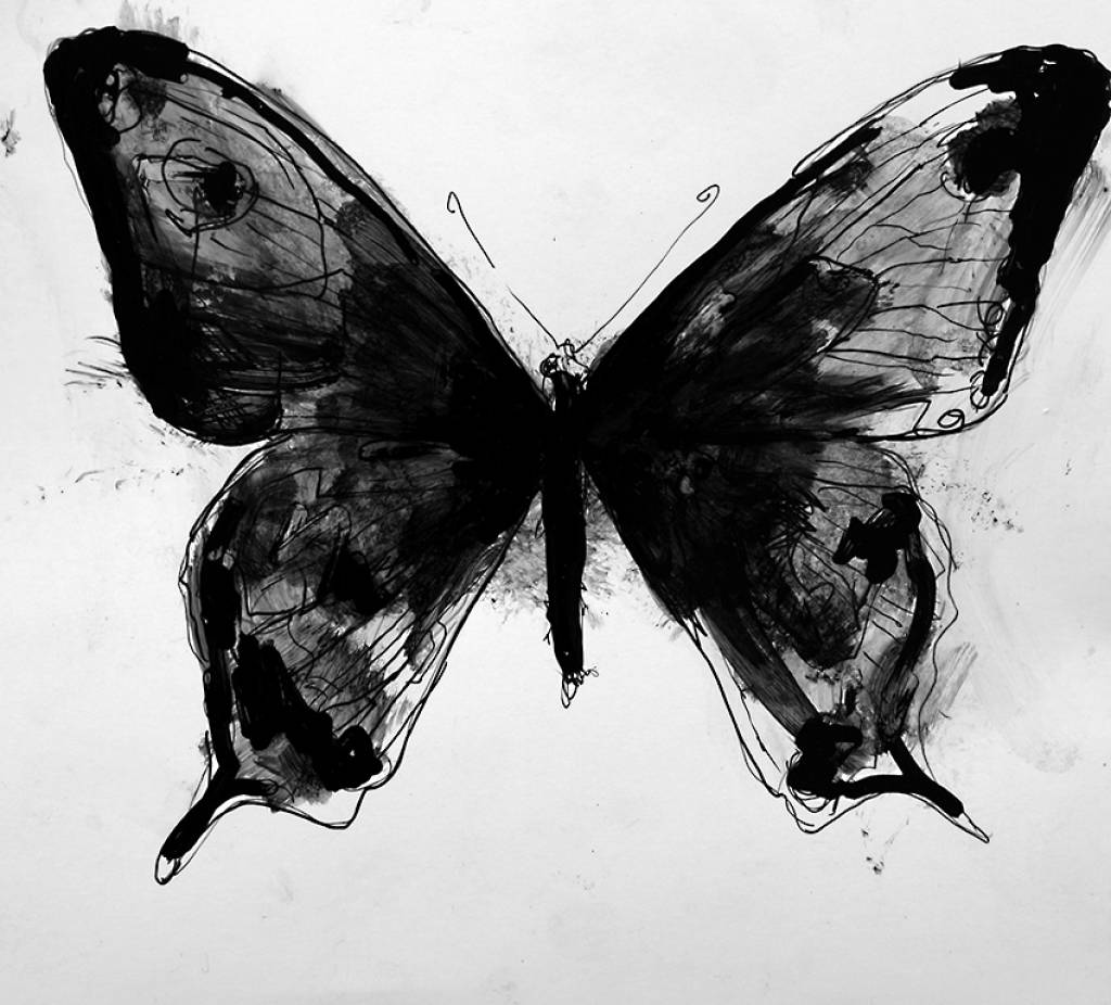 Butterfly series is intended as a sort of collection of... 