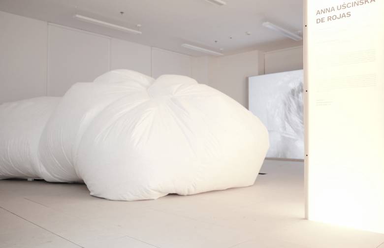 exhibition, interactive art installation, artist, gallery,