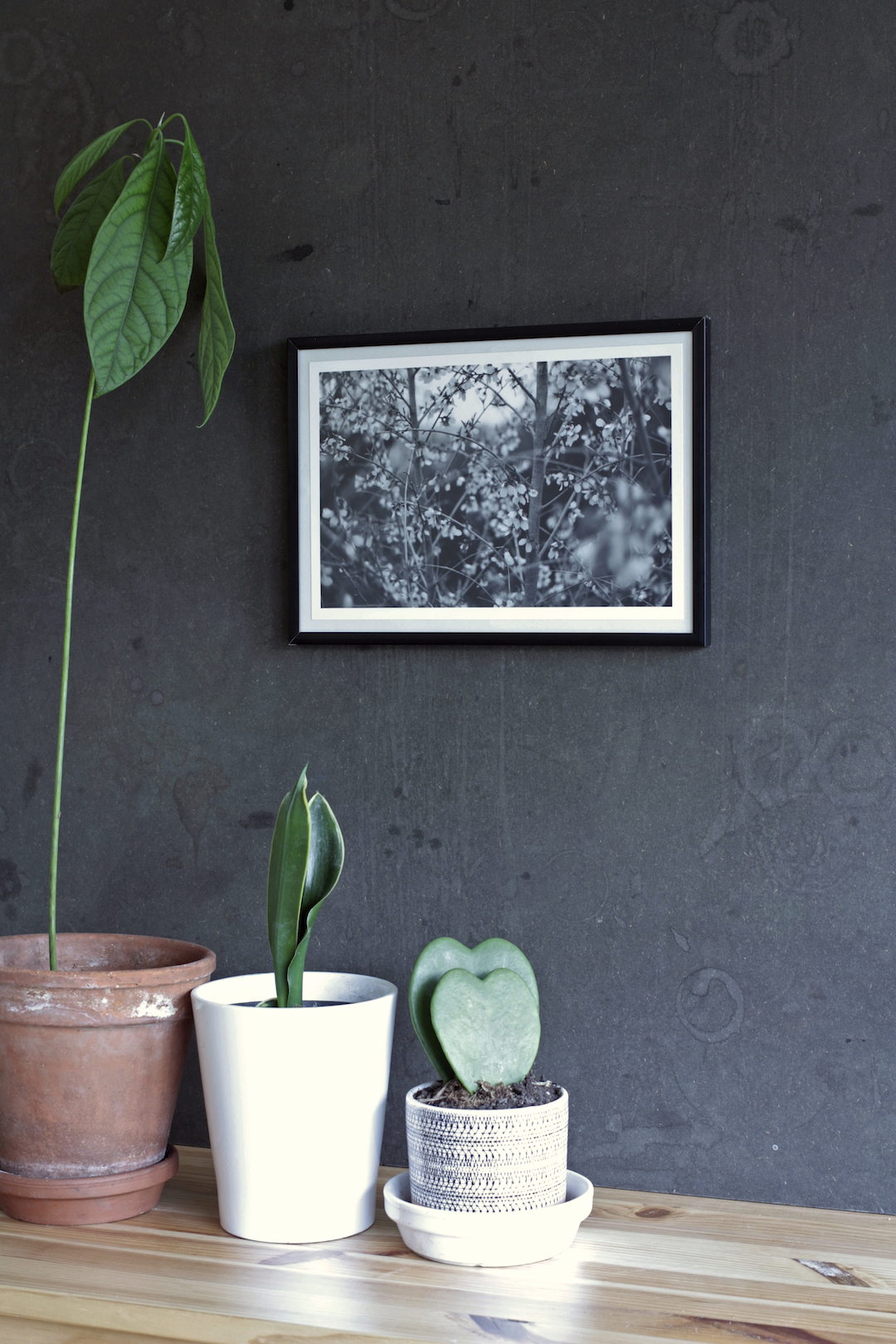 Yduns woods | Posters-prints, Photographs | Rafael Guerrero Céspedes | Beauton Art Gallery posters-prints, photographs, aesthetic, landscape, monochrome, still-life, botany, moods, nature, seasons, black, grey, white, photographs, atmosphere, beautiful, black-and-white, contemporary-art, decorative, farm, flowers, forest, horizontal, love, natural, naturalism, nordic, outdoors, photorealistic, realism, romantic, spring, tranquil, trees, weird, wild, Buy original high quality art. Paintings, drawings, limited edition prints & posters by talented artists.