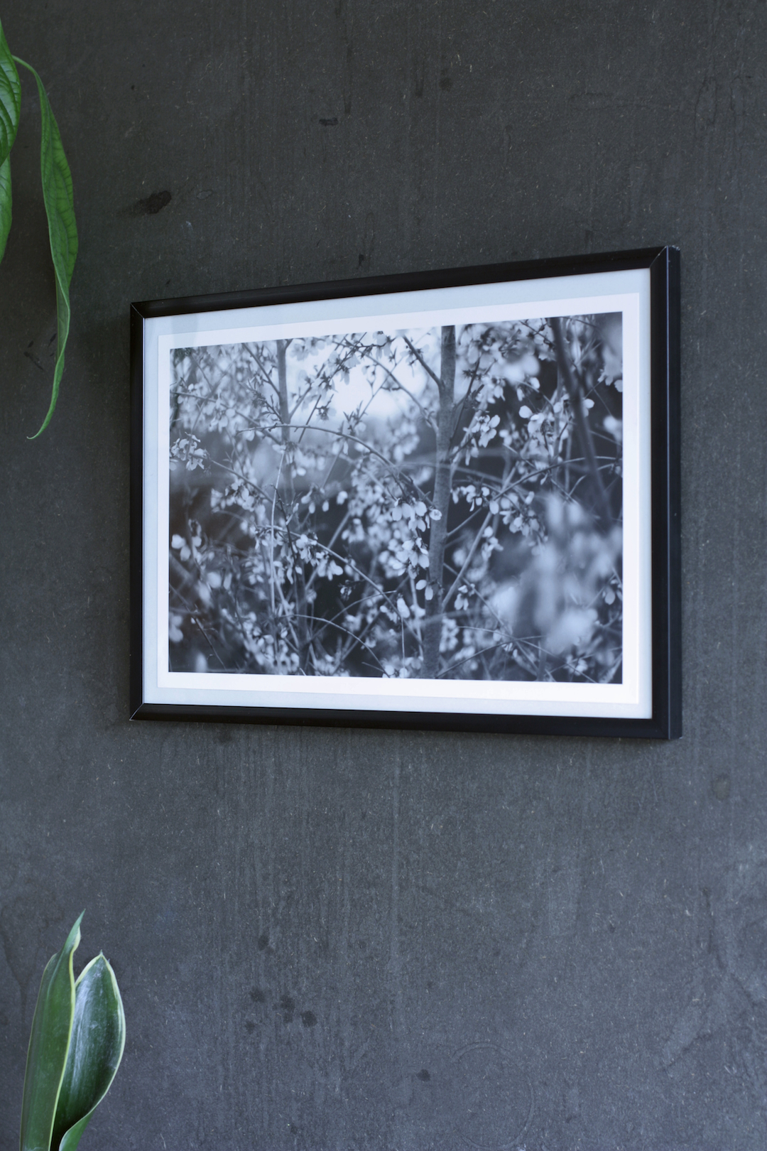 Yduns woods | Posters-prints, Photographs | Rafael Guerrero Céspedes | Beauton Art Gallery posters-prints, photographs, aesthetic, landscape, monochrome, still-life, botany, moods, nature, seasons, black, grey, white, photographs, atmosphere, beautiful, black-and-white, contemporary-art, decorative, farm, flowers, forest, horizontal, love, natural, naturalism, nordic, outdoors, photorealistic, realism, romantic, spring, tranquil, trees, weird, wild, Buy original high quality art. Paintings, drawings, limited edition prints & posters by talented artists.